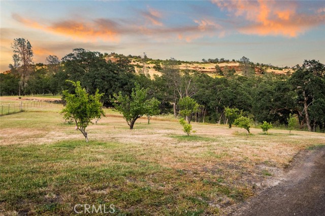 Detail Gallery Image 49 of 59 For 3332 Williams Rd, Butte Valley,  CA 95965 - 6 Beds | 4 Baths