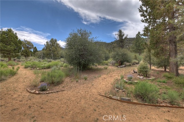 Detail Gallery Image 15 of 50 For 1285 Skyview Ct, Big Bear City,  CA 92314 - 3 Beds | 2 Baths