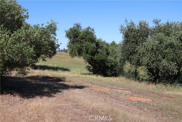 Detail Gallery Image 18 of 32 For 0 Carona Ave., Corning,  CA 96021 - – Beds | – Baths