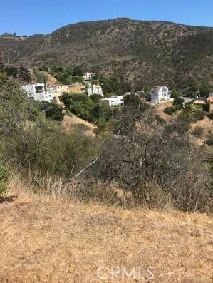 1 Latigo Cyn & Ocean View, Malibu CA: https://media.crmls.org/medias/465ce9bc-3abd-458b-8994-da853fc7e89e.jpg