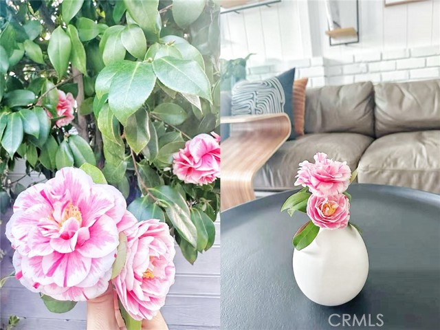 6508 Blewett Avenue, Lake Balboa CA: https://media.crmls.org/medias/465d914f-88f6-4211-8402-2fcaaca601c9.jpg