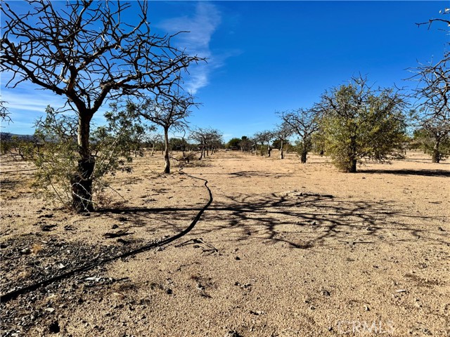 Detail Gallery Image 49 of 67 For 44823 Silver Valley, Newberry Springs,  CA 92365 - 2 Beds | 2 Baths