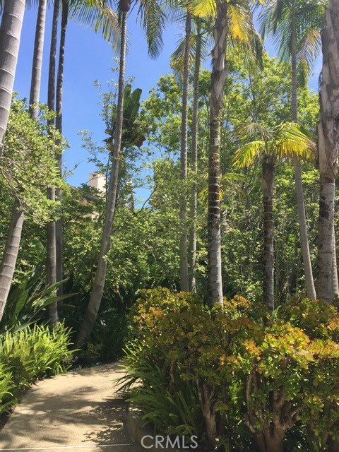 8694 Villa La Jolla Drive, La Jolla CA: https://media.crmls.org/medias/4662f5a7-3598-412b-92c6-003b62b6067a.jpg