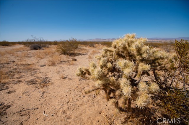 0 Barnes, 29 Palms CA: https://media.crmls.org/medias/46646604-57f2-41d3-9016-533e7ca10ff7.jpg