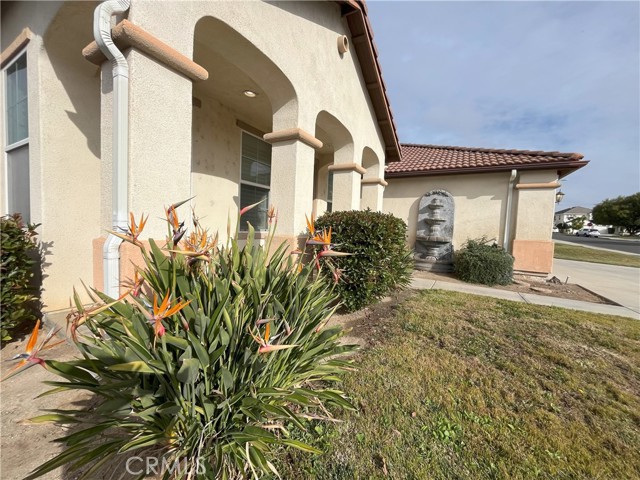 Detail Gallery Image 16 of 21 For 12758 Royal Palm Ln, Riverside,  CA 92503 - 4 Beds | 2 Baths