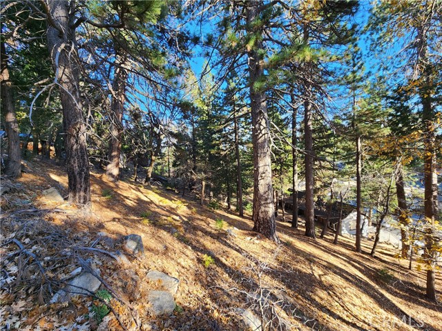0 Lovers Lane, Rimforest CA: https://media.crmls.org/medias/46728162-1ee4-4afd-af68-bfef86af2b9e.jpg