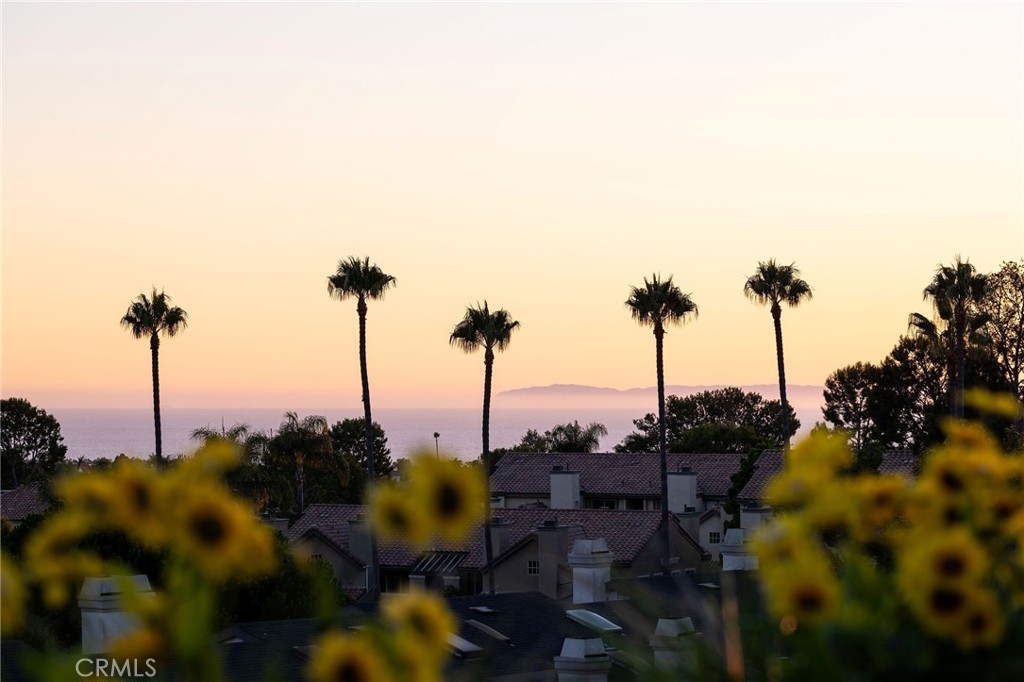 4672d117 3f85 4486 8f60 7243a0b98564