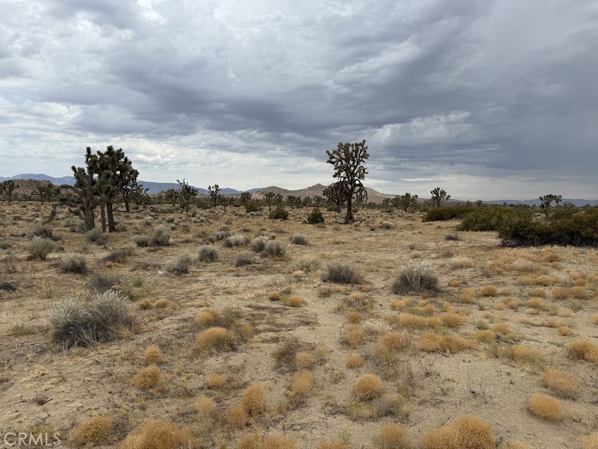 MLS #SR26165095 image #50
