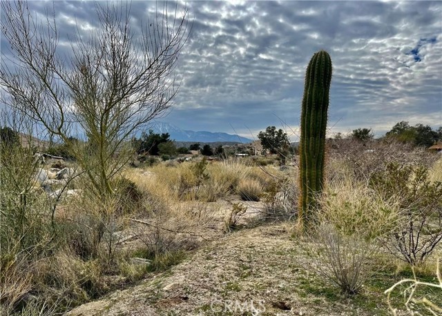 Detail Gallery Image 6 of 13 For 11040 Mescalero Ave, Morongo Valley,  CA 92256 - – Beds | – Baths