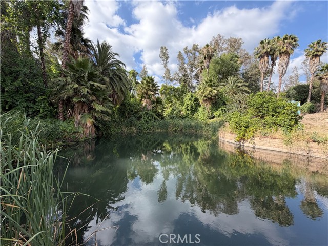 Front Image Thumbnail for CRWS26143988