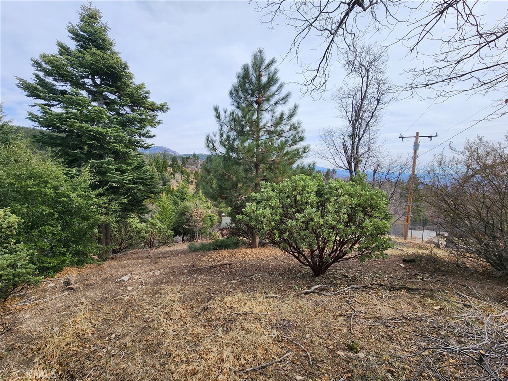 MLS #IG25045374 image #28