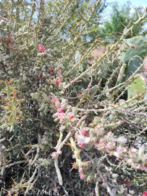 Detail Gallery Image 5 of 10 For 10376 55th St, Mojave,  CA 93501 - – Beds | – Baths