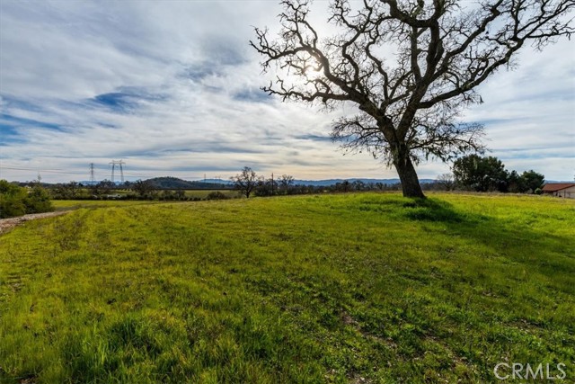 Detail Gallery Image 50 of 53 For 698 Vaquero Road, Templeton,  CA 93465 - 2 Beds | 2 Baths