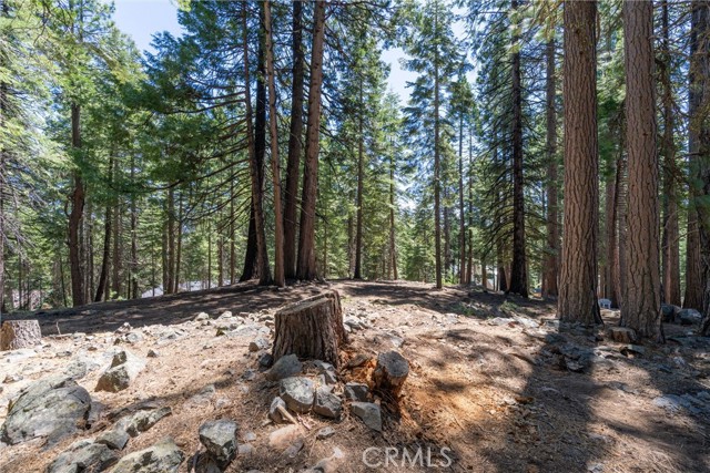 Detail Gallery Image 60 of 70 For 720 E Mountain Ridge Rd, Lake Almanor,  CA 96137 - 3 Beds | 3 Baths
