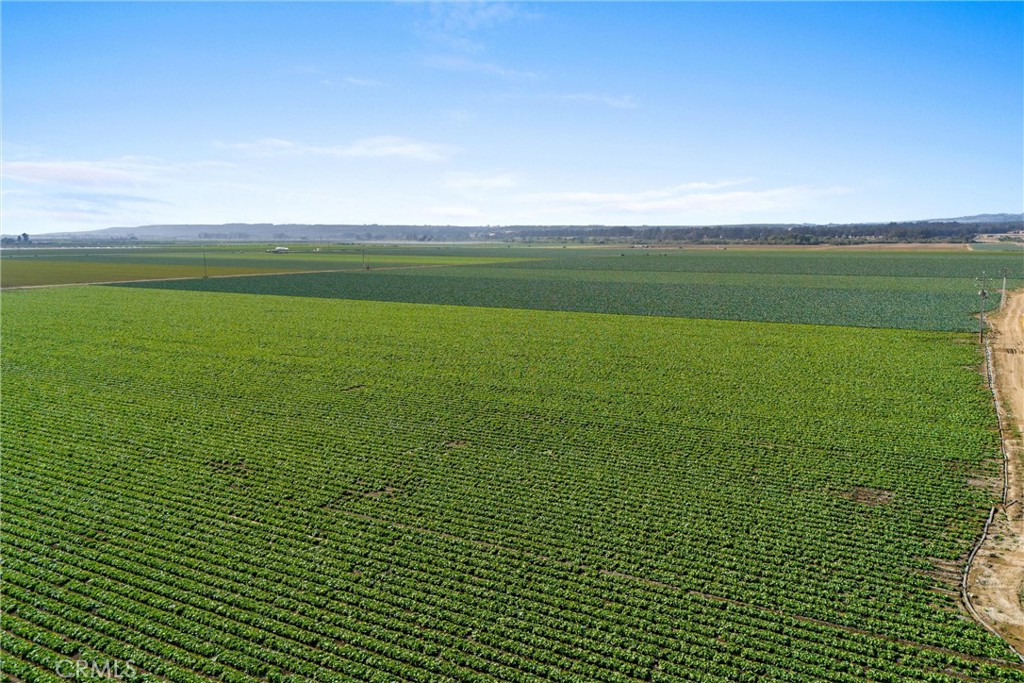 MLS #PI25199259 image #14