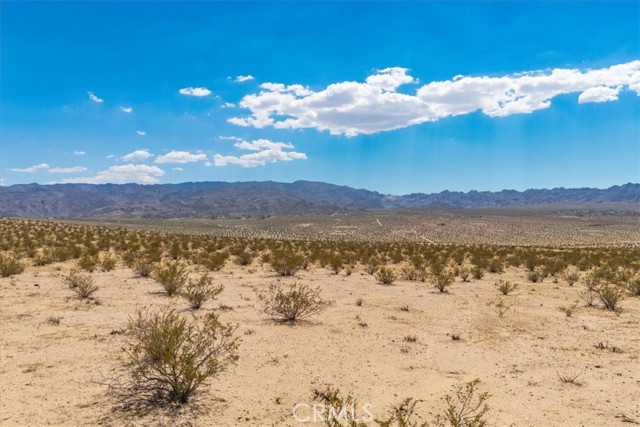 MLS #JT25263725 image #13