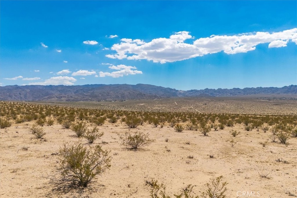 MLS #JT25263725 image #13