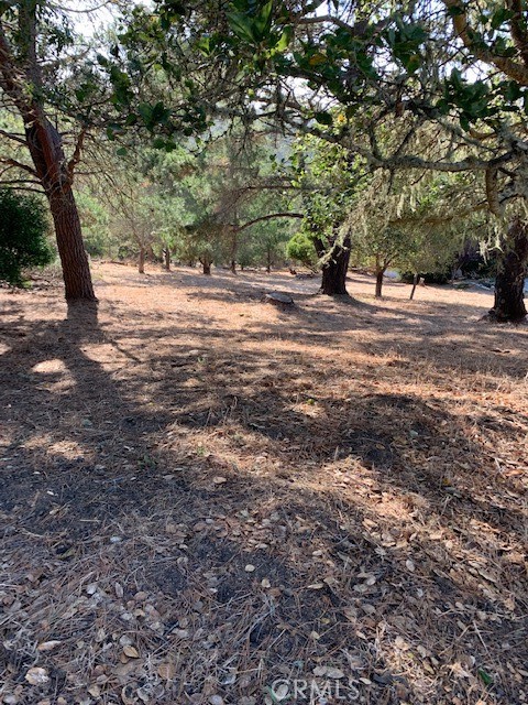 0 Richard Avenue, Cambria, CA, 93428 0 Richard Avenue, Cambria, CA, 93428