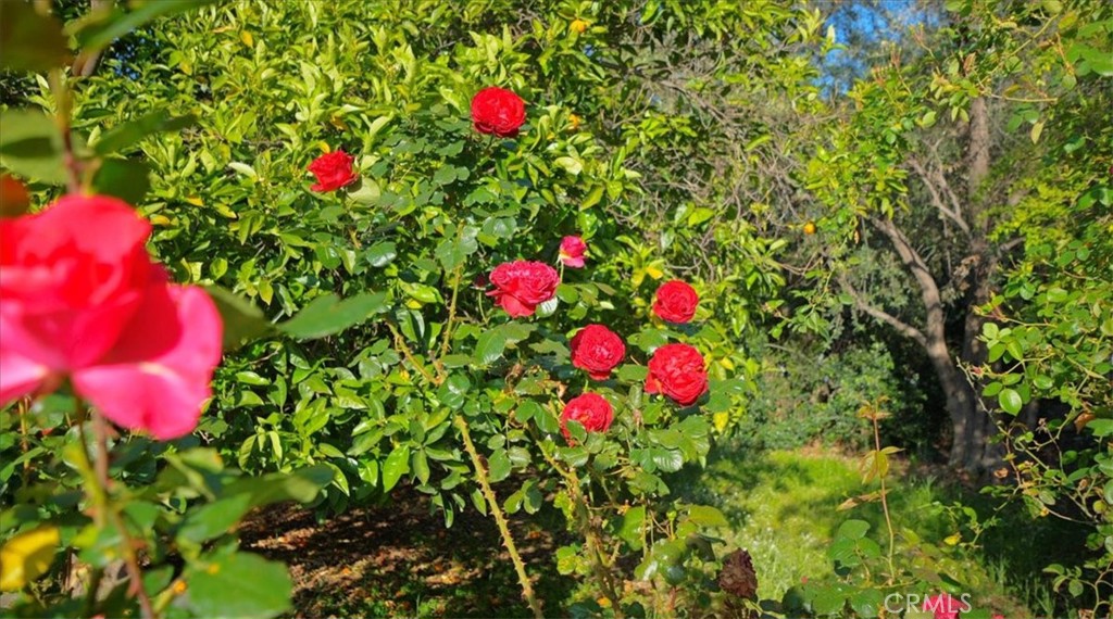 https://media.crmls.org/medias/468f0aad-bd48-45c8-9fd2-ed36736902b0.jpg?preset=X-Large