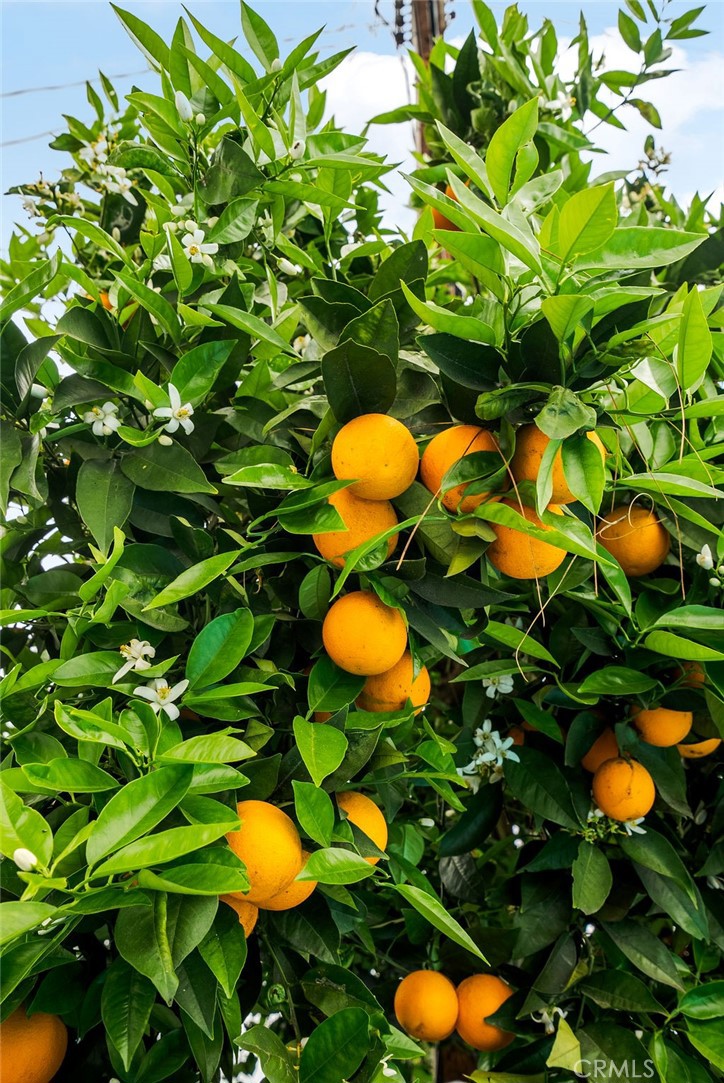 https://media.crmls.org/medias/46906940-13a3-46be-9f11-4e95719ee437.jpg?preset=X-Large