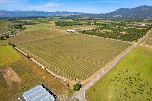 Detail Gallery Image 7 of 29 For 1650 Bell Hill Rd, Kelseyville,  CA 95451 - – Beds | – Baths