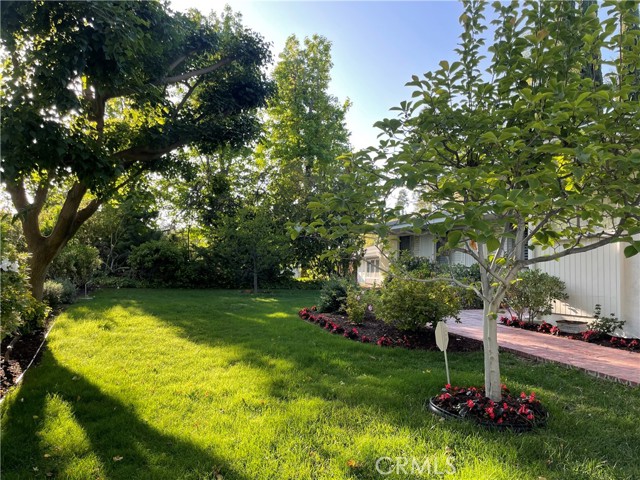24041 Mariano Street, Woodland Hills CA: https://media.crmls.org/medias/469caf64-c7a8-401a-8782-2b79096385c6.jpg