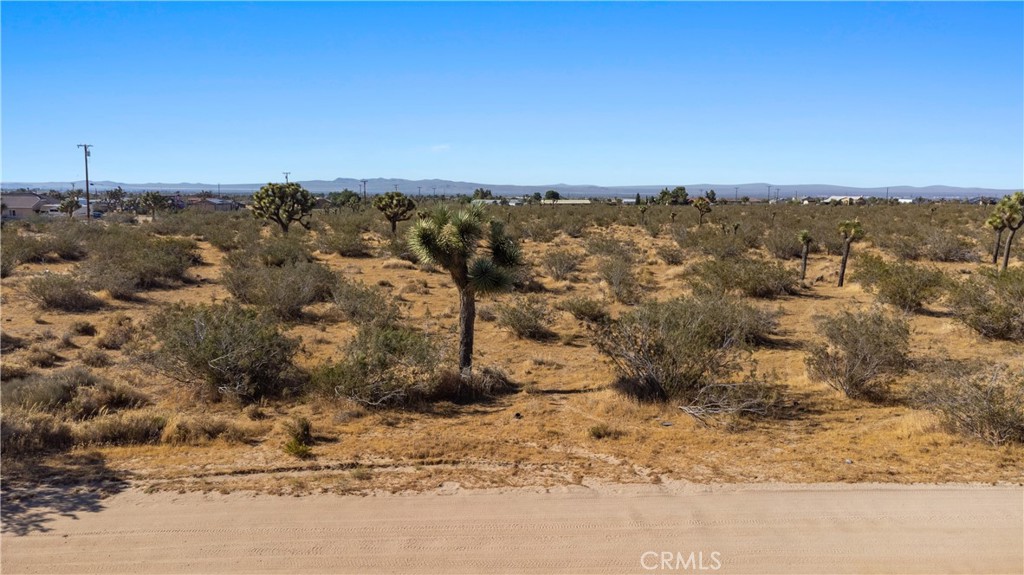 MLS #CV26141639 image #9