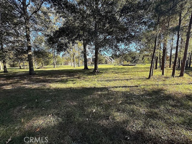 Detail Gallery Image 6 of 13 For 26430 Clyde Blount Rd, –,  LA 70754 - – Beds | – Baths