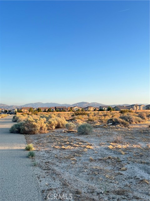 Detail Gallery Image 17 of 17 For 0 E Palmdale Bld, Palmdale,  CA 93552 - – Beds | – Baths