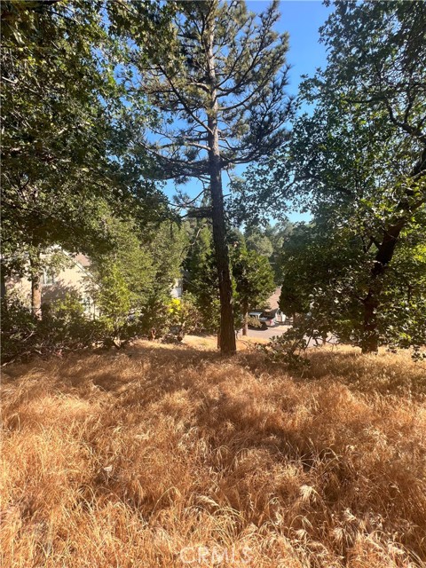 0 Arth Drive, Crestline, California 92325, ,Land,For Sale,0 Arth Drive,CRHD23124328