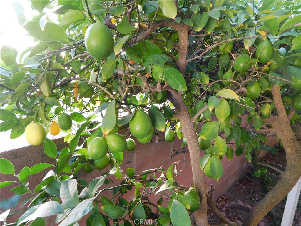 MLS #IG25254181 image #43