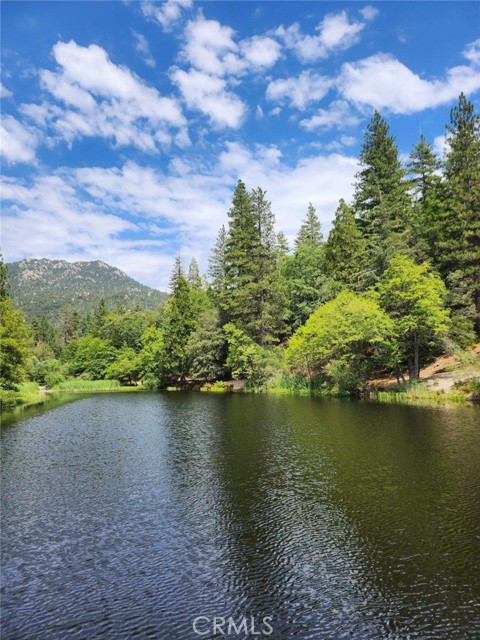 Detail Gallery Image 45 of 45 For 53520 Country Club Dr, Idyllwild,  CA 92549 - 2 Beds | 2 Baths