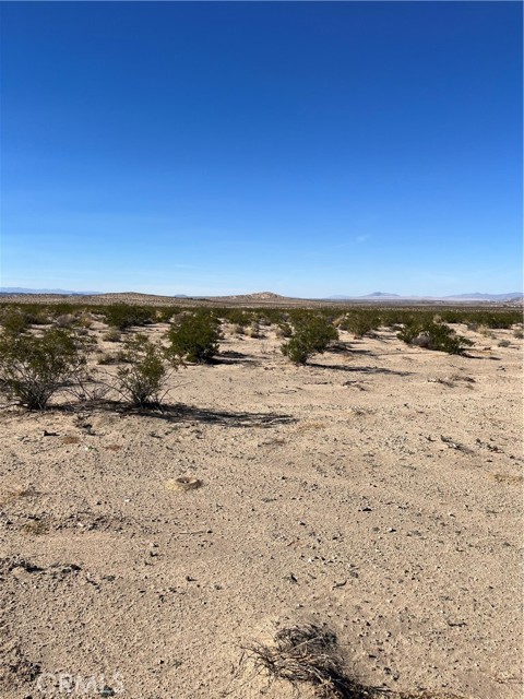 0 Primrose Lane, Twentynine Palms, California 92277, ,Land,For Sale,0 Primrose Lane,CRJT23210451