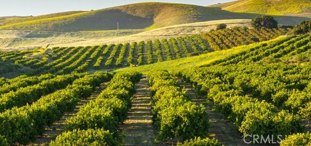 Detail Gallery Image 4 of 4 For 370 Hemi, Arroyo Grande,  CA 93420 - – Beds | – Baths