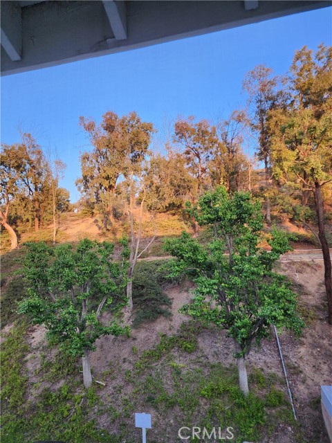 20334 Rue Crevier, Canyon Country CA: https://media.crmls.org/medias/46cdd961-6722-4c31-95ed-a7bcb92d22c5.jpg