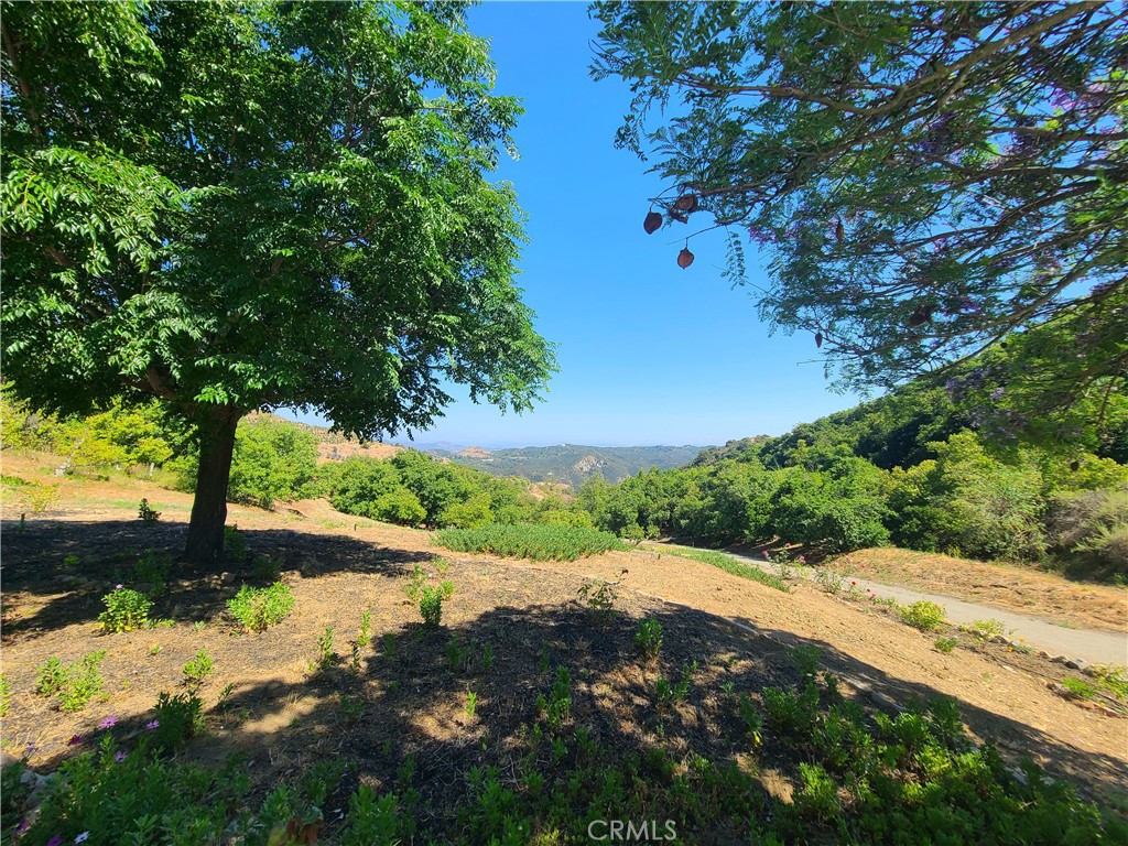 https://media.crmls.org/medias/46d62596-9f25-48b7-a2a8-a92c2f24be2e.jpg?preset=X-Large