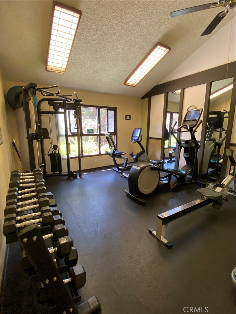 MLS #OC25180948 image #19