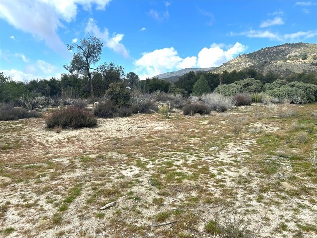 Detail Gallery Image 20 of 29 For 0 Oak Rd, Anza,  CA 92539 - – Beds | – Baths