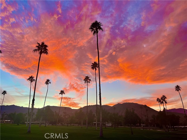 Detail Gallery Image 1 of 42 For 46125 Burroweed Ln, Palm Desert,  CA 92260 - 2 Beds | 2 Baths