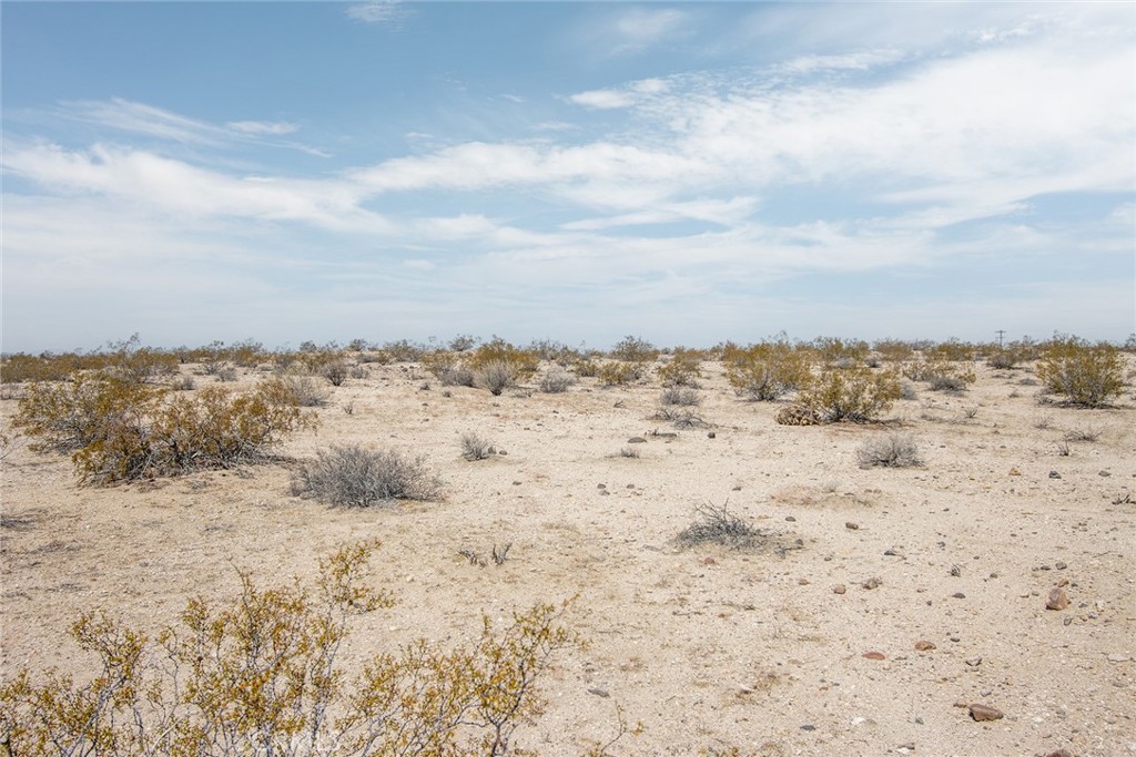 MLS #JT25181027 image #17