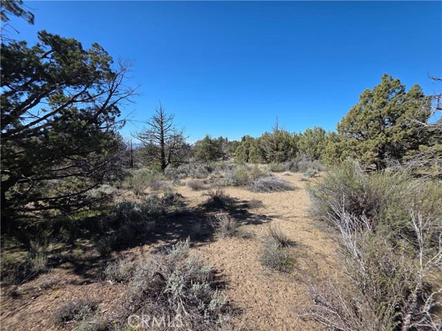 Front Image Thumbnail for CRSN26065413