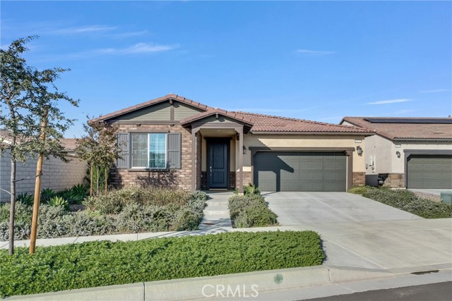 Front Image Thumbnail for CROC25277677