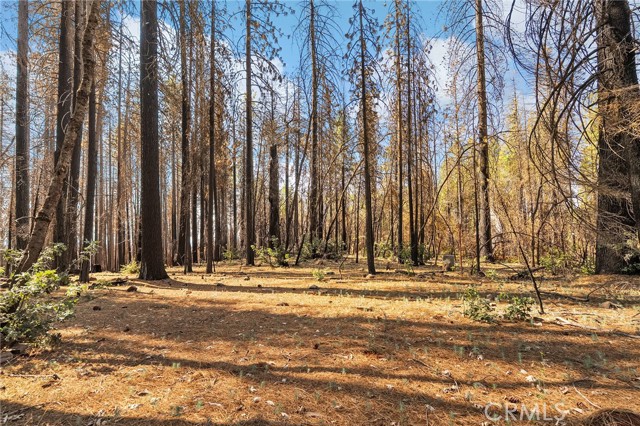 10860 Cohasset Road, Chico CA: https://media.crmls.org/medias/46fc69fe-64f4-4a46-bc81-b627a5539e54.jpg