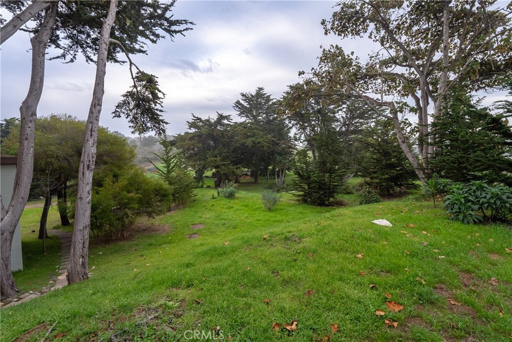 MLS #NS25047717 image #37