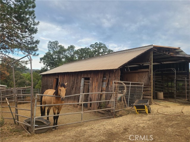 Detail Gallery Image 39 of 40 For 4504 Eickhoff Rd, Lakeport,  CA 95453 - 3 Beds | 2 Baths