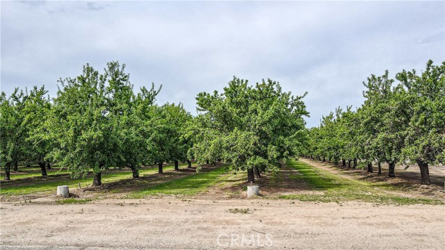 Detail Gallery Image 8 of 72 For 10170 Road 29, Madera,  CA 93637 - – Beds | – Baths