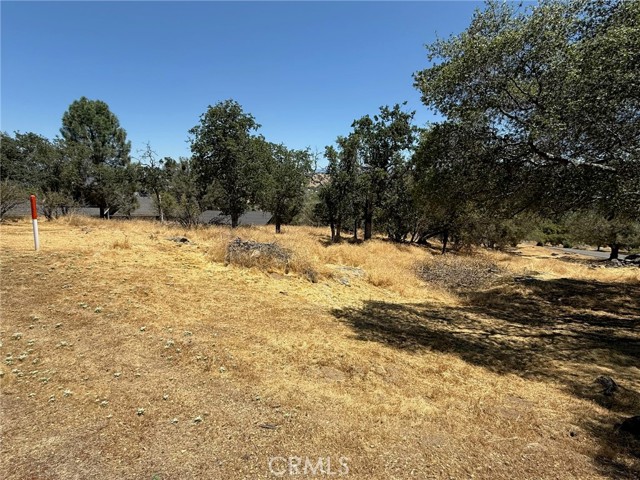 1 Wild Horse Way, Coarsegold CA: https://media.crmls.org/medias/470f11dc-0fa9-4230-9370-c3aff5d3f521.jpg