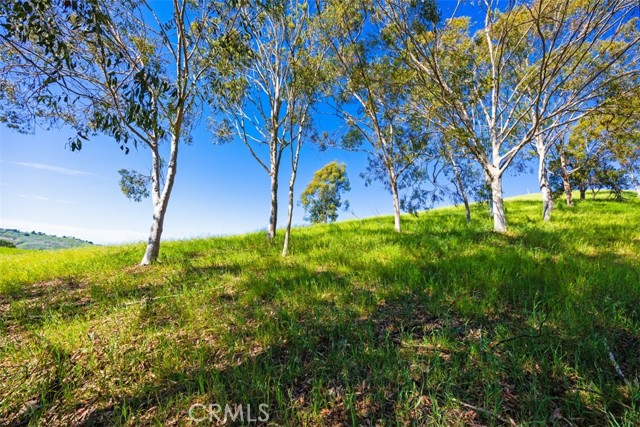 Detail Gallery Image 65 of 73 For 26841 Windsor Drive, San Juan Capistrano,  CA 92675 - 5 Beds | 4/1 Baths