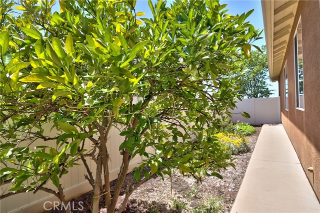39312 Beringer Drive, Murrieta CA: https://media.crmls.org/medias/471b7068-86d9-458d-a291-fe36820d287b.jpg