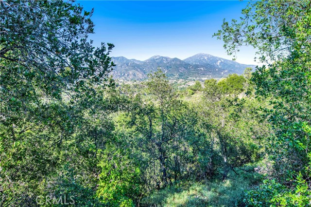 Detail Gallery Image 9 of 10 For 5 Aubrieta, Rancho Santa Margarita,  CA 92688 - 2 Beds | 2 Baths